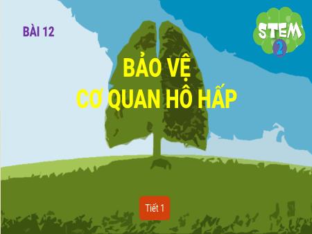Bài giảng STEM Lớp 2 - Bài 12: Bảo vệ cơ quan hô hấp