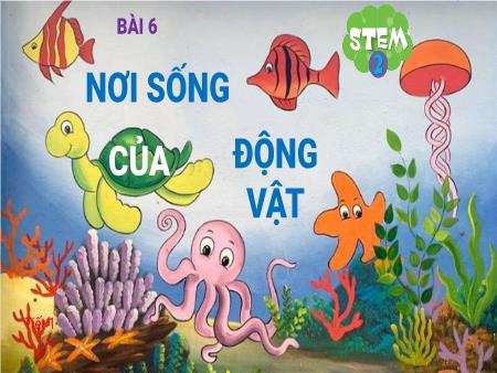 Bài giảng STEM Lớp 2 - Bài 6: Nơi sống của động vật