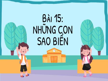 Bài giảng Tiếng Việt Lớp 2 - Bài 15: Những con sao biển
