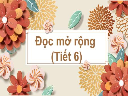 Bài giảng Tiếng Việt 2 (Kết nối tri thức) - Tuần 20, Bài: Đọc mở rộng (Tiết 6)