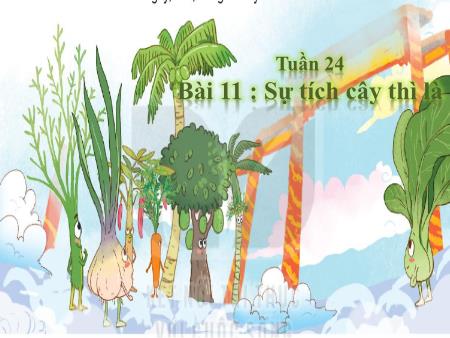 Bài giảng Tiếng Việt 2 (Kết nối tri thức) - Tuần 24, Bài 11: Sự tích cây thì là