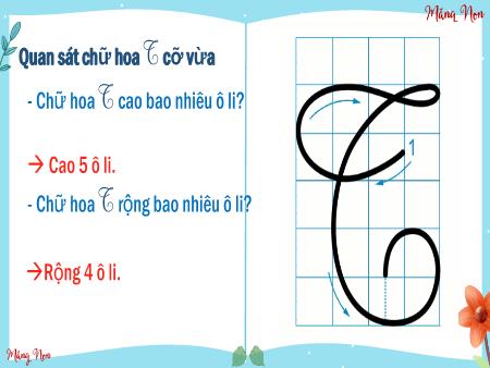 Bài giảng Tiếng Việt 2 (Viết) Sách Kết nối tri thức - Bài: Viết chữ hoa T