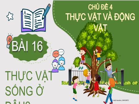 Bài giảng Tự nhiên xã hội 2 (Kết nối tri thức) - Chủ đề 4: Thực vật và động vật - Bài 16: Thực vật sống ở đâu?