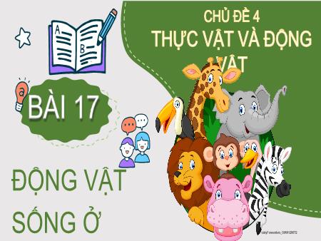 Bài giảng Tự nhiên xã hội 2 (Kết nối tri thức) - Chủ đề 4: Thực vật và động vật - Bài 17: Động vật sống ở đâu?